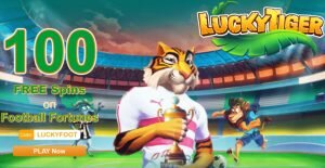 Casino lucky tiger